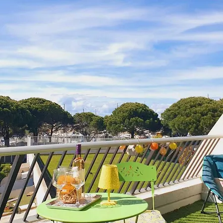 Appartamento Le Quai Aux Fleurs Avec Parking Sécurisé Clim Piscine à Port Camargue - Rossiconciergerie - Linge Inclus *